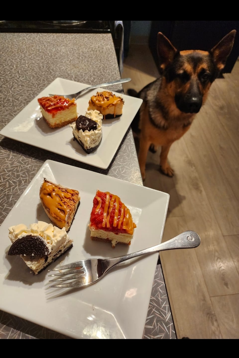 Customer photo review of Seasonal PB & J Mini Cheesecake