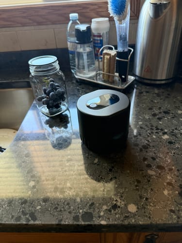 Customer's black Mason Genie Vacuum Sealer Kit on a kitchen counter next to a mason jar filled with fresh grapes.