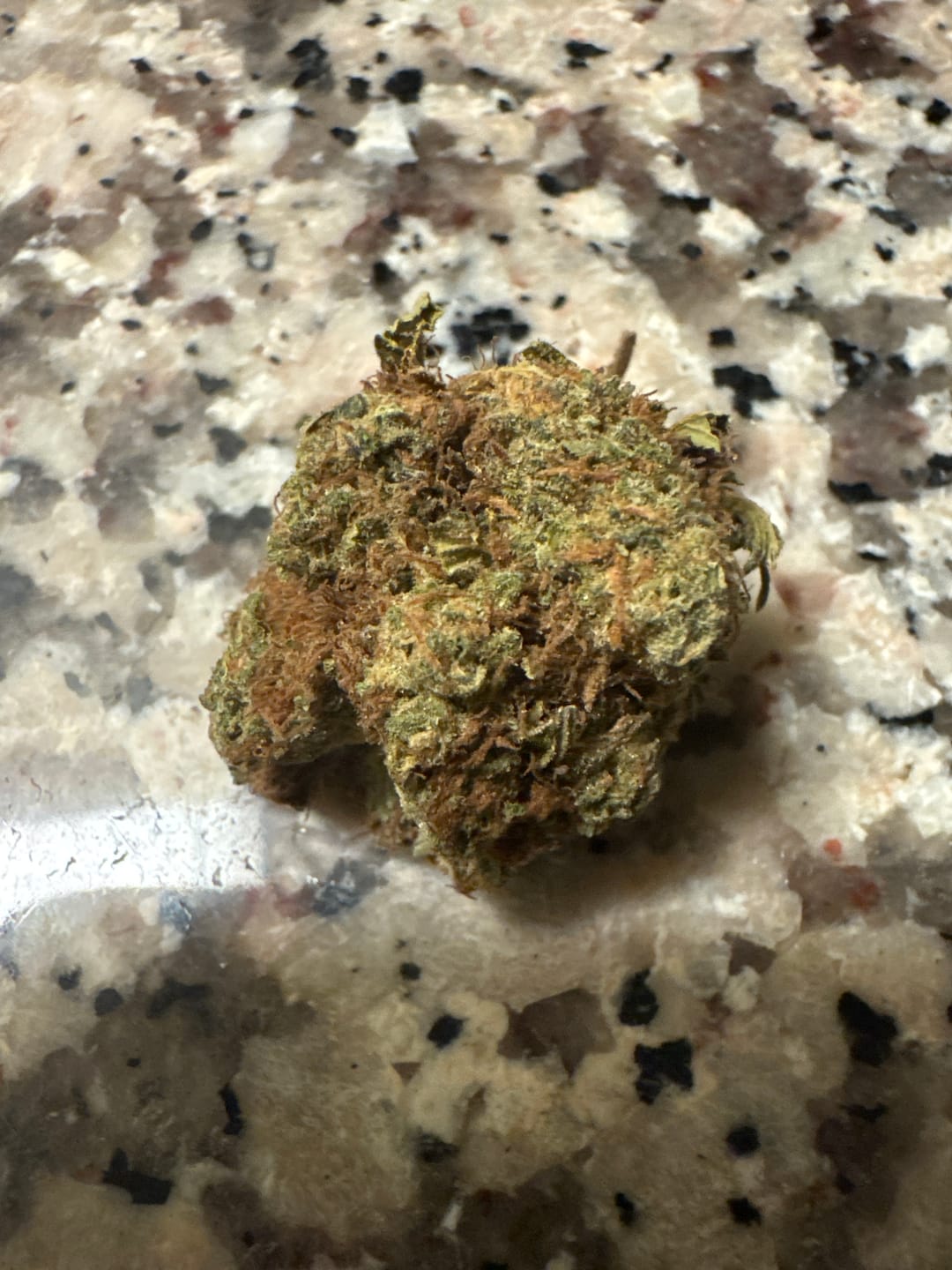 Customer photo review of Gary Payton Light Dep THCA