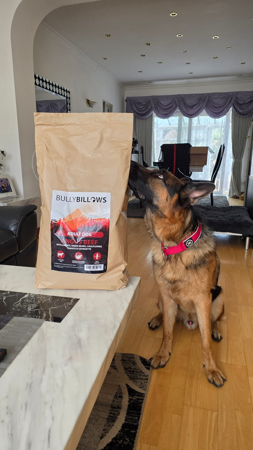 Customer photo review of Angus Beef Dry Super Food - Adult