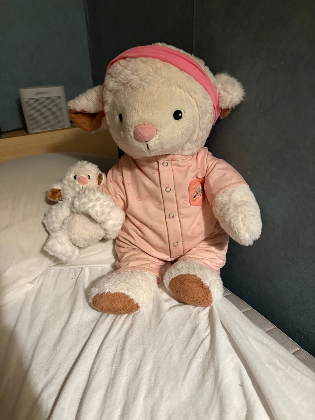 Customer photo review of Mini Lotgenootje Schaap