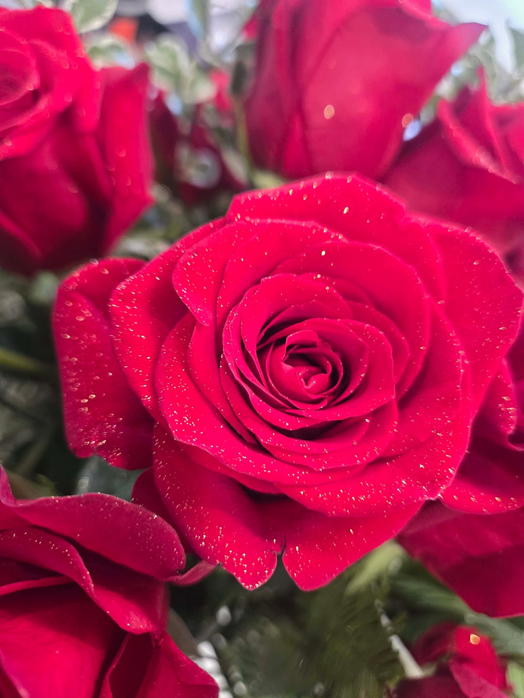 Customer photo review of Eternal Romance