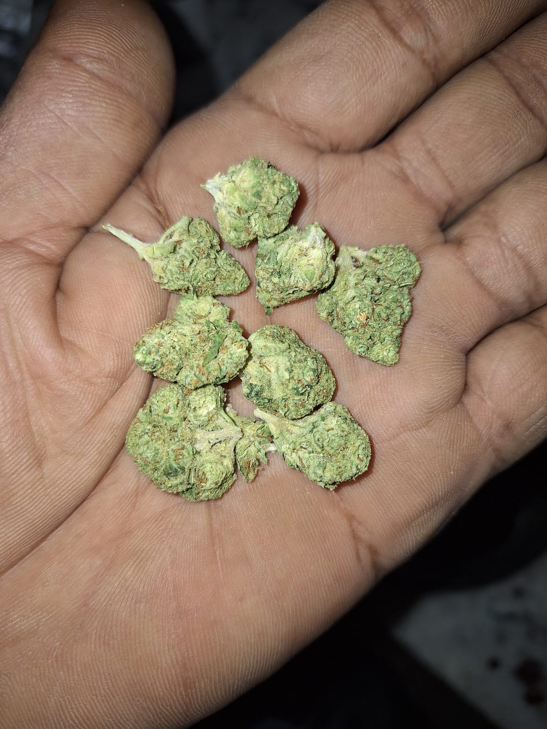 Customer photo review of Fire OG Mediums - Bulk Mediums - Indica