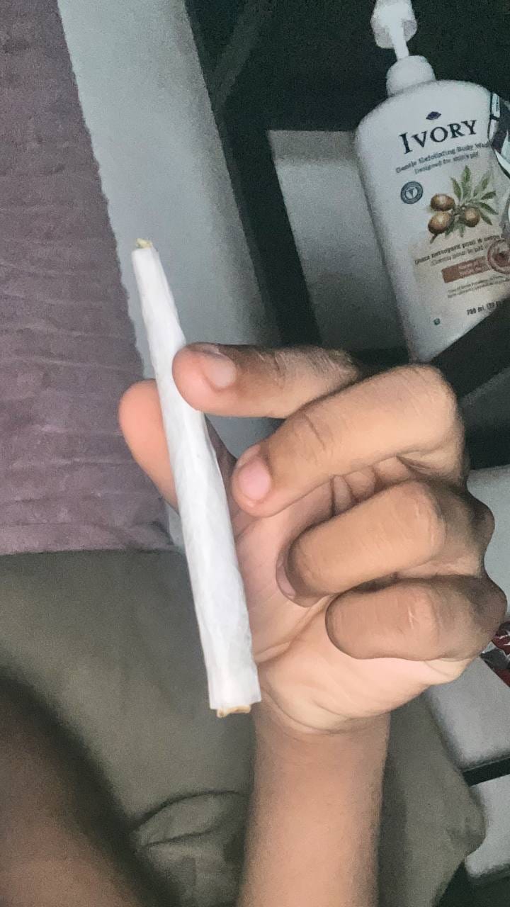 Customer photo review of Greenhouse Smalls