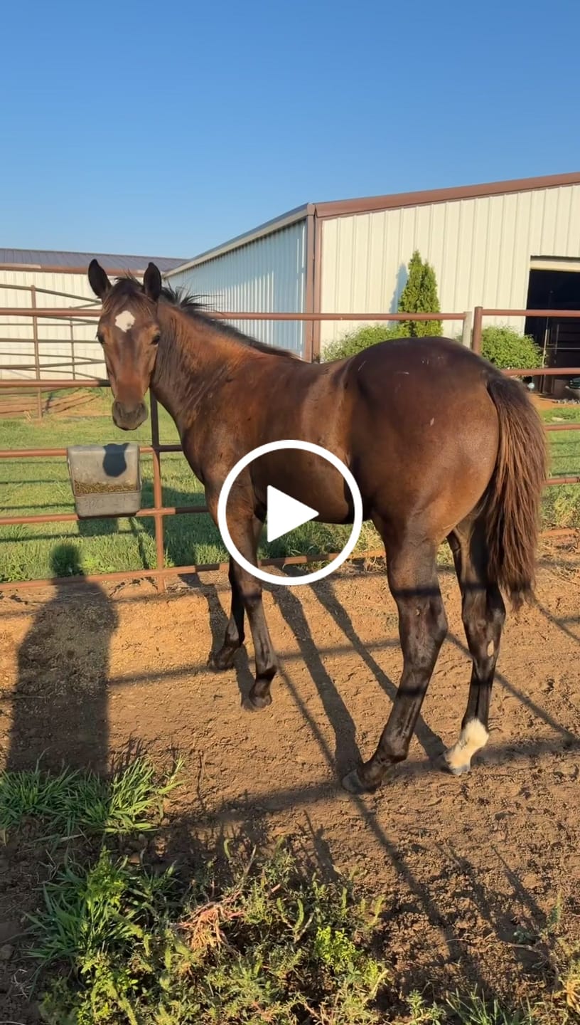 Customer video review of Intensify® Growth & Development