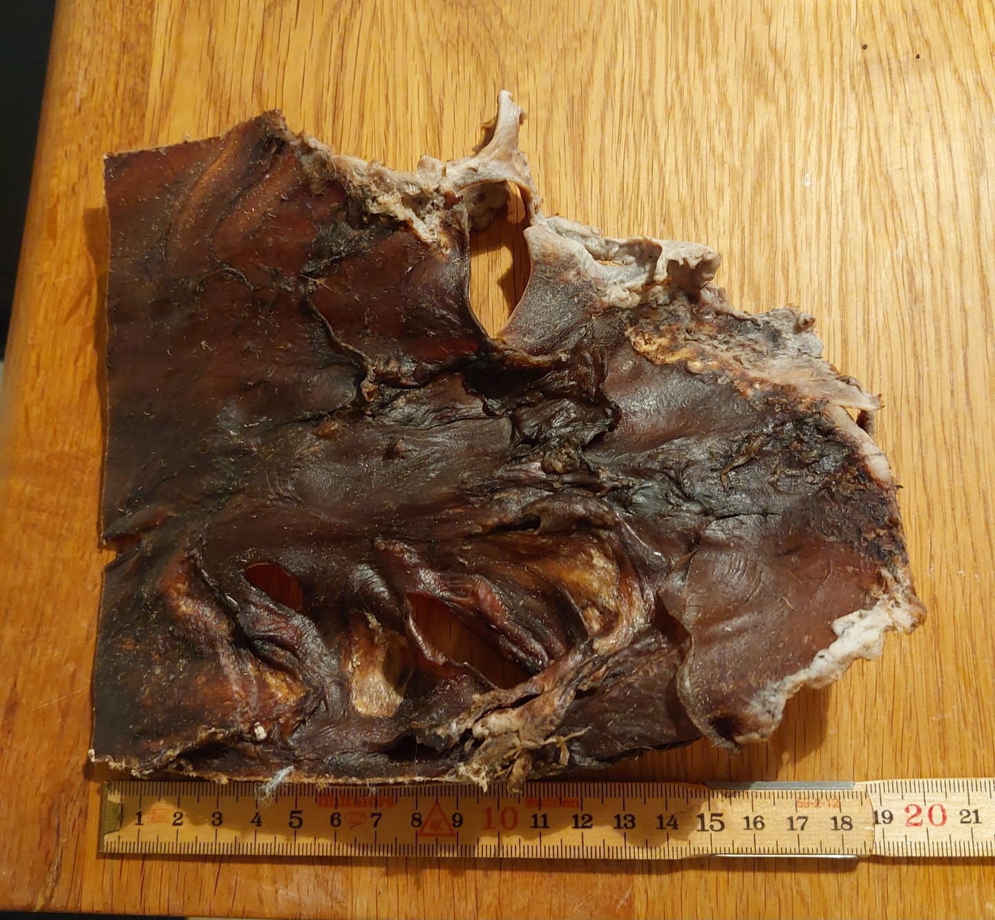 Customer photo review of Snack'it  - Kamelhudsplade, ca. 20x20 cm