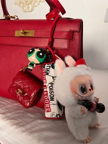 Customer photo review of Labubu V4 – Pin For Love Series Blind Box (A-M Full Set)