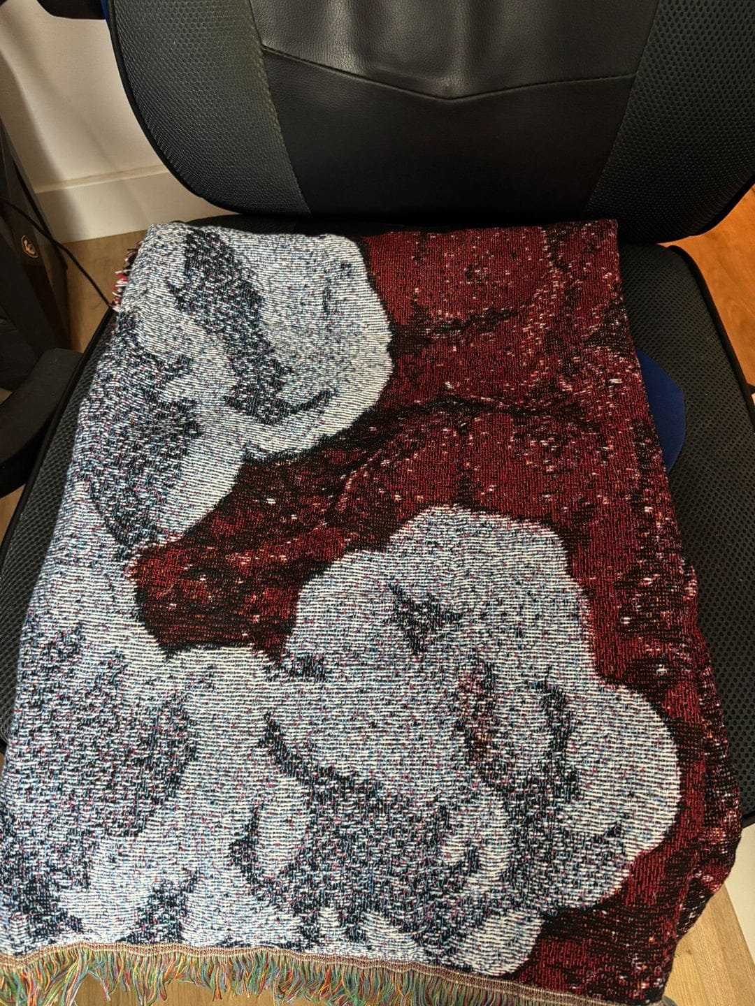 Customer photo review of AOT Blanket