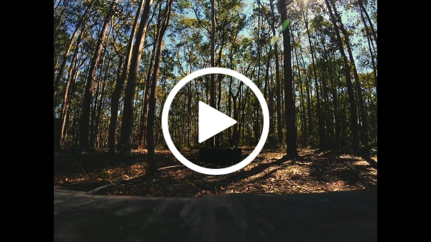 Customer video review of Osmo Cinematic LUTs