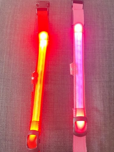 Customer photo review of Double-Light Collar to See Your Dog at Night
