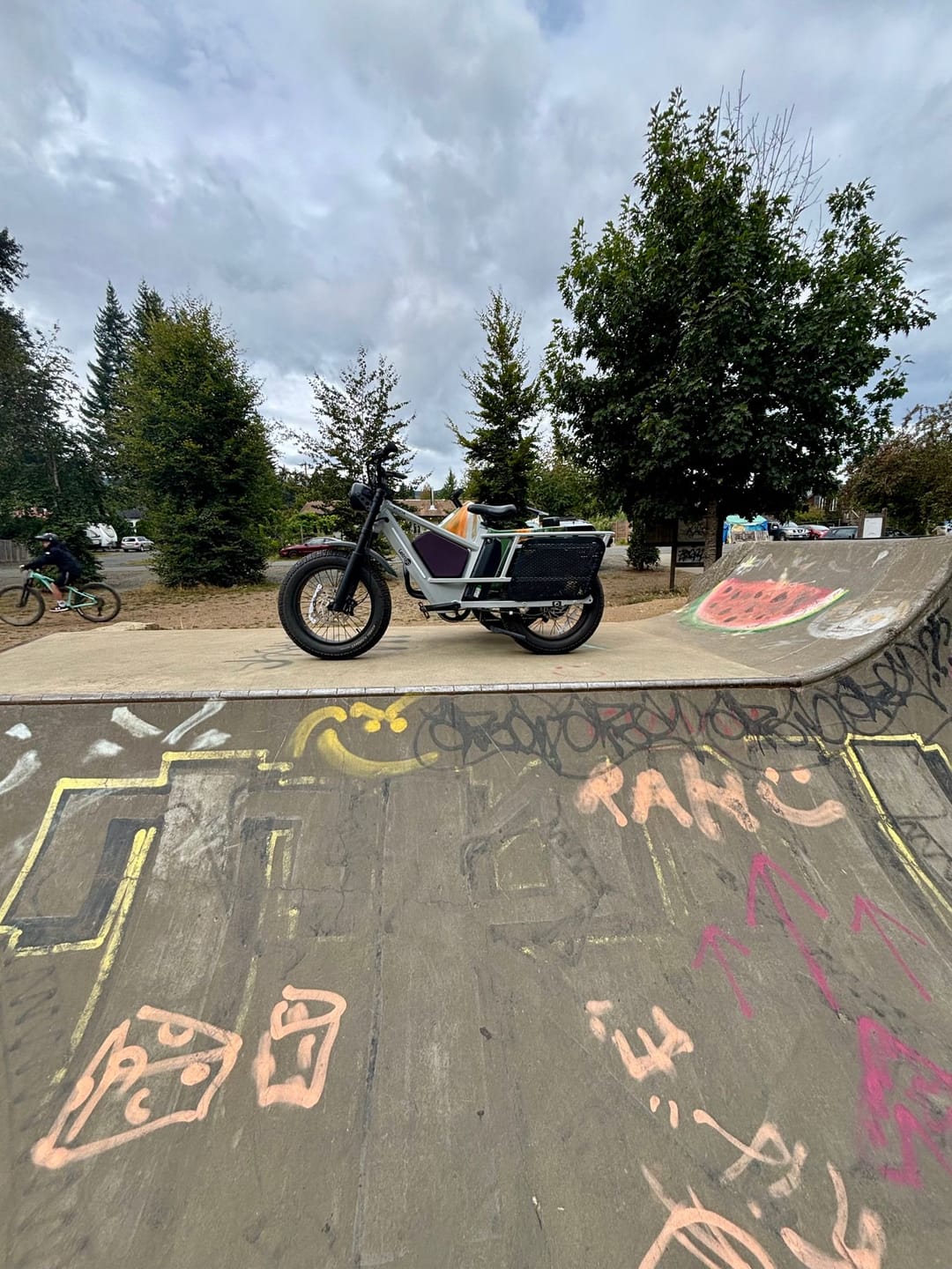 Customer photo review of Letrigo Sidecar01