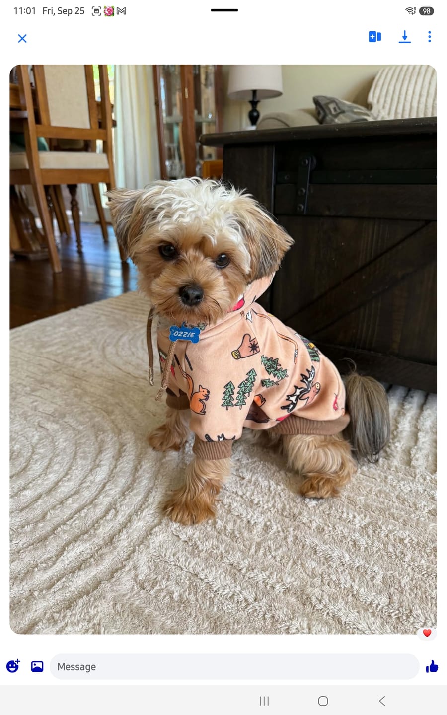 Customer photo review of The Canada Dog Hoodie