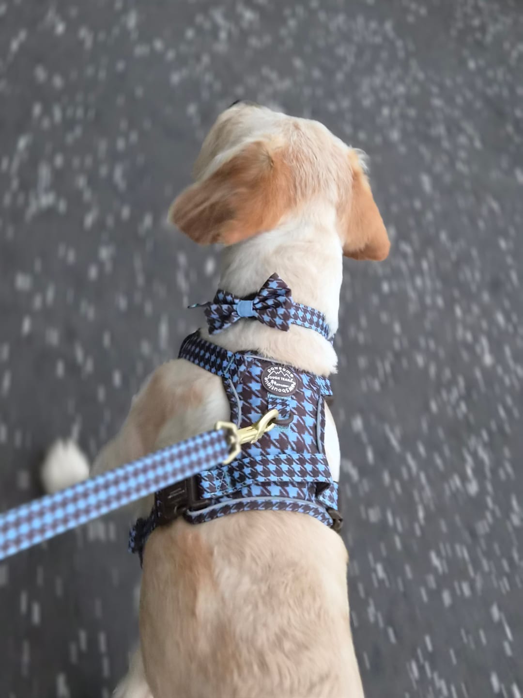 Customer photo review of Bow Tie - Horizon Houndstooth