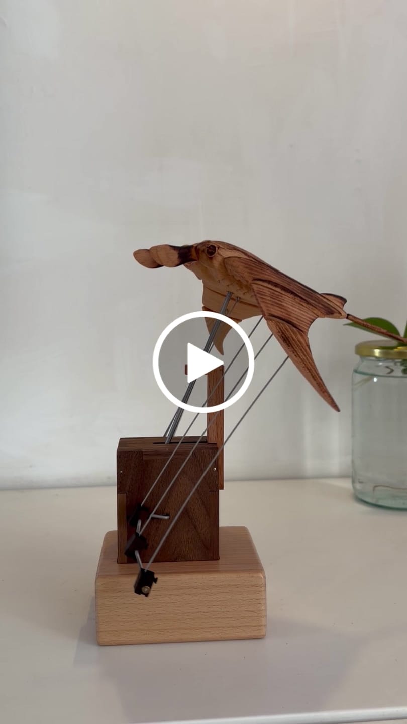Customer video review of MarinerPoet Handcrafted Wooden Manta Ray Automaton