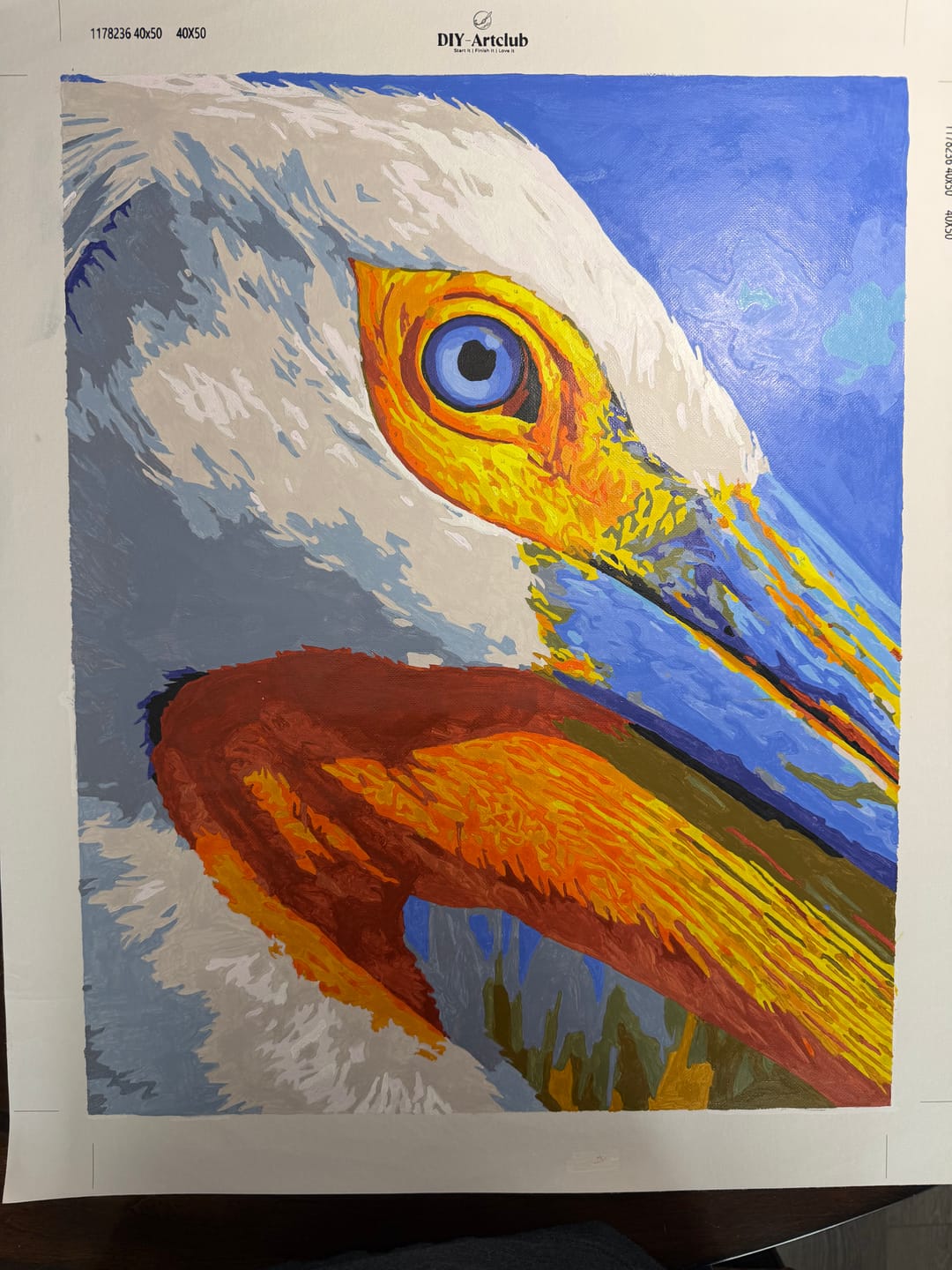 Customer photo review of Pelican Portrait | Paint by Number