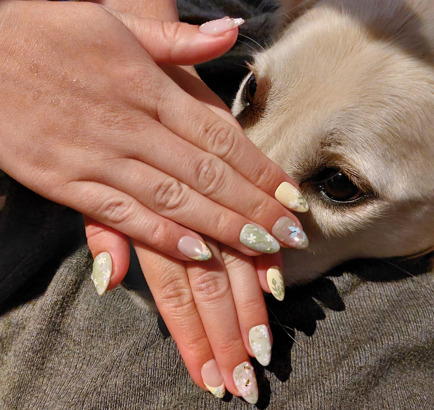 Customer photo review of Cream Garden