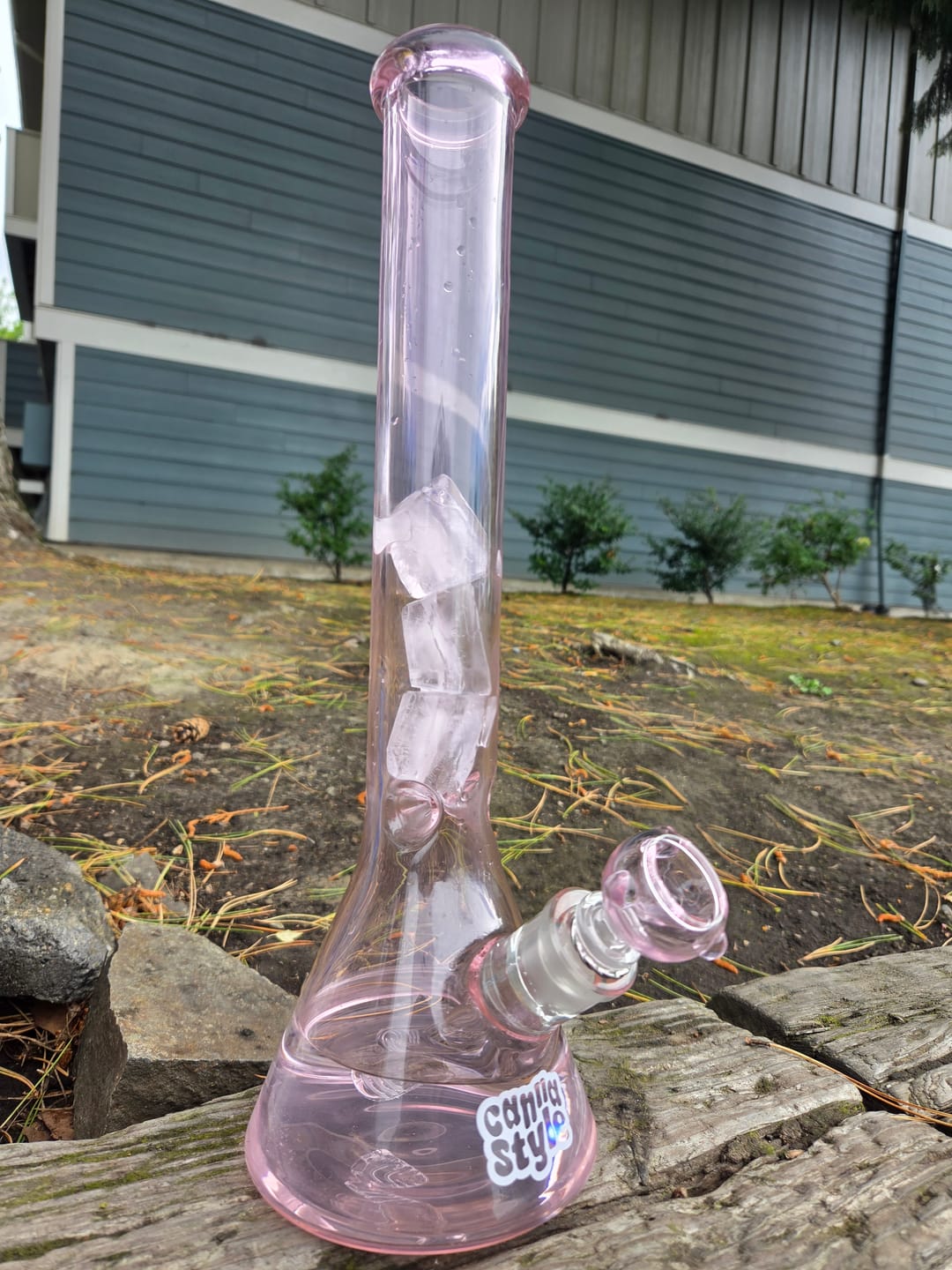 Customer photo review of PINK BONG 16"