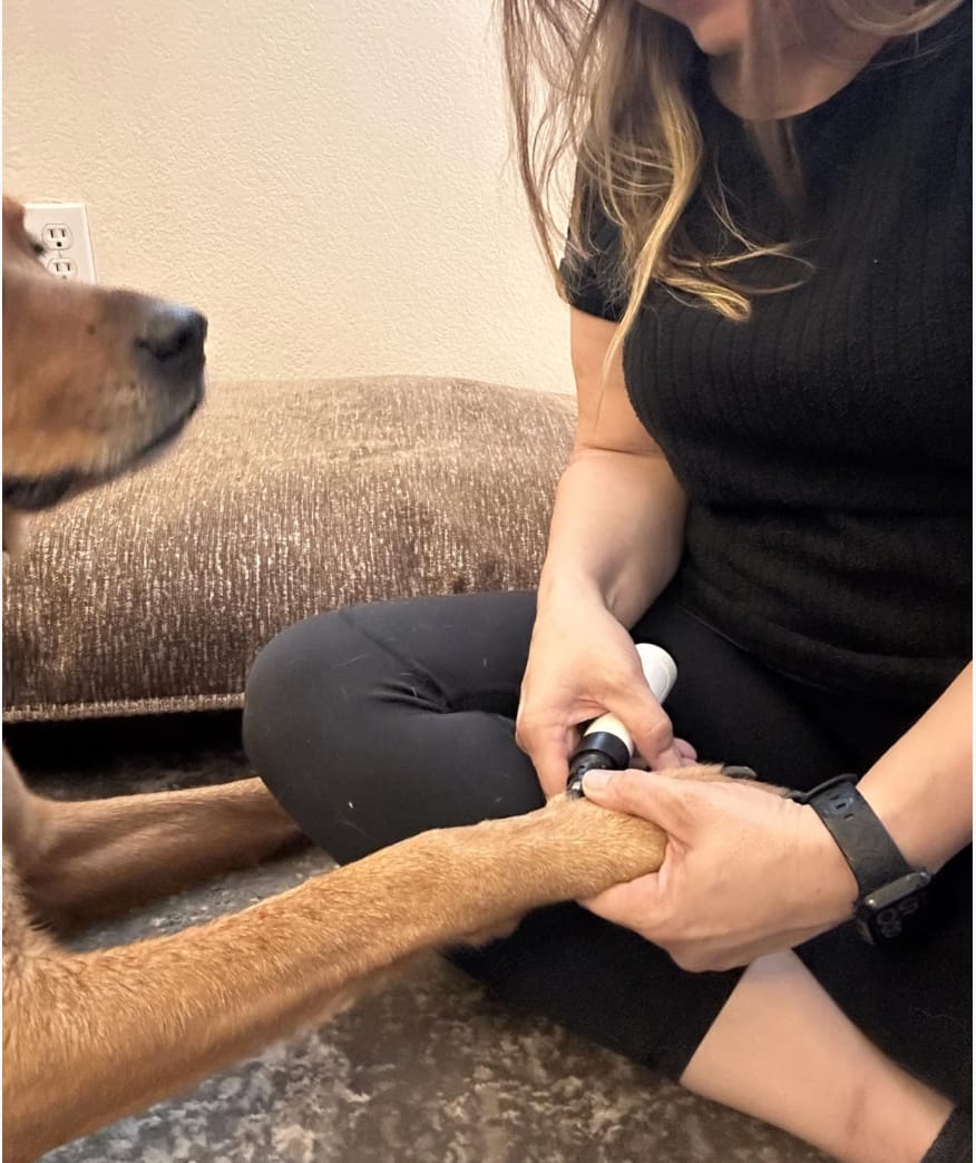Customer photo review of Clawlegs™ GrindPaw