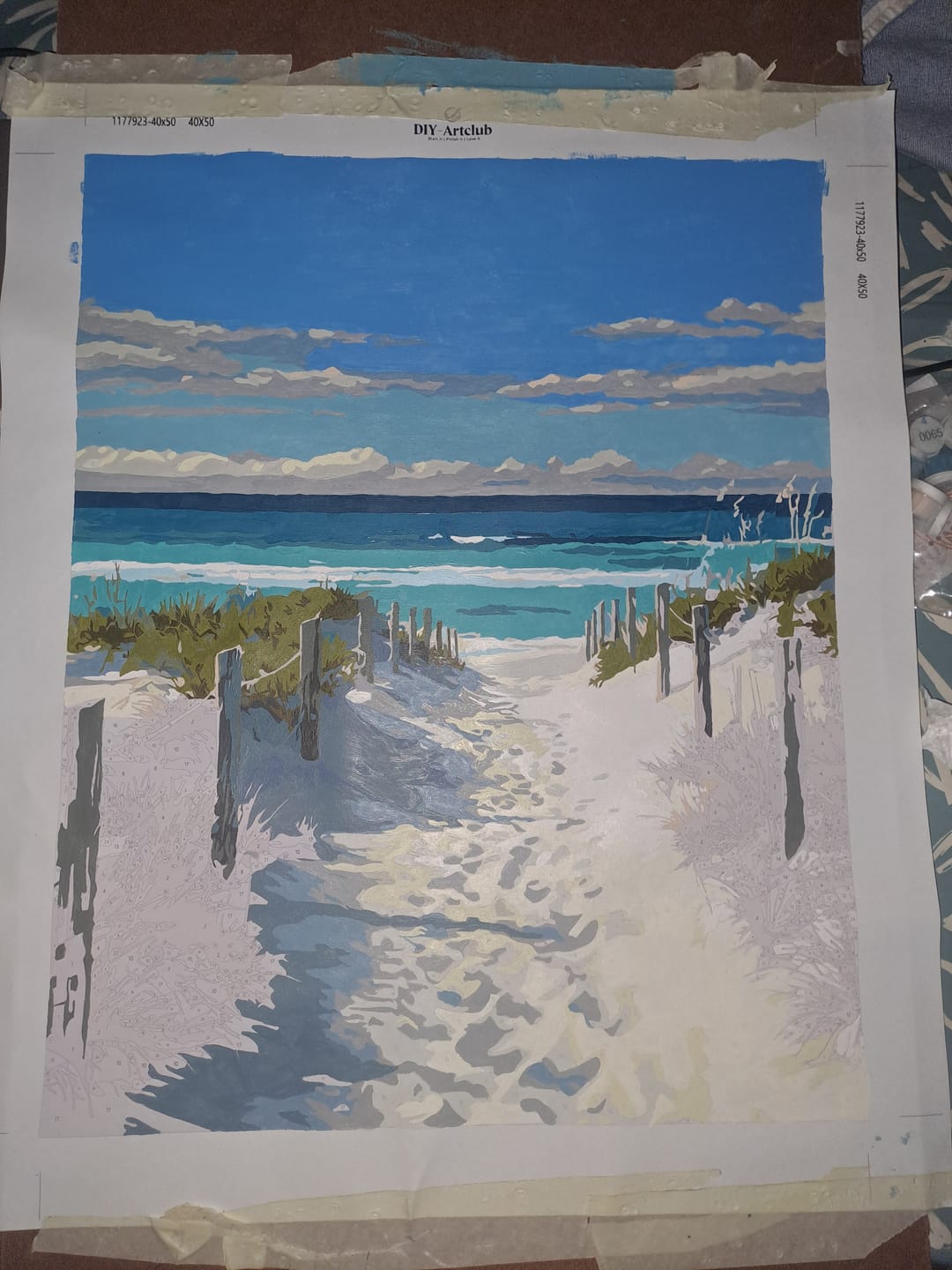 Customer photo review of Beach Path | Paint by Number