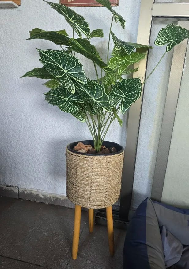 Customer photo review of Leaves Artificial Green Fairy Taro