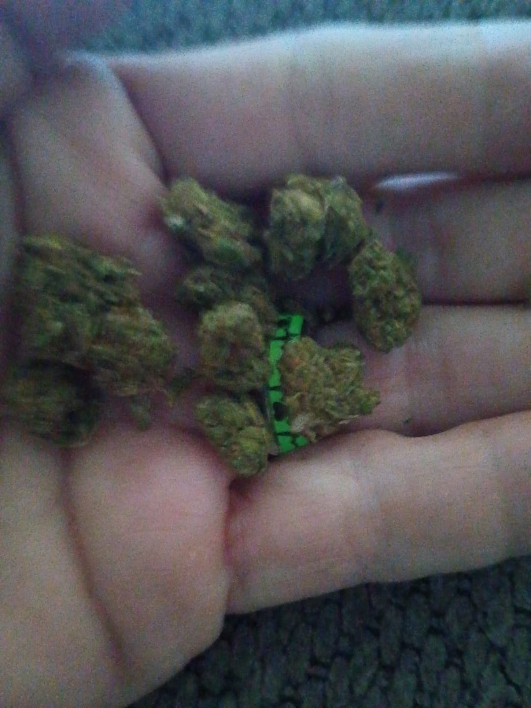 Customer photo review of Blackout Berries THCA Flower Ounce (28g)