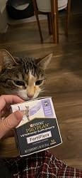 Customer photo review of Purina Pro Plan FortiFlora Cat Probiotic – 30 Sachets for Digestive Support