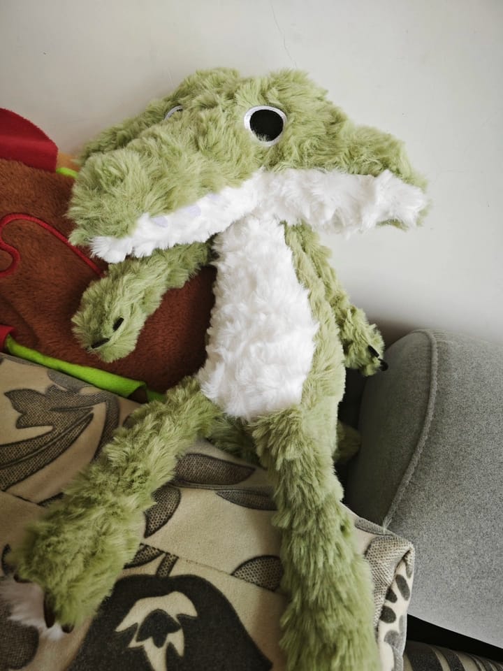 Customer photo review of Cordy Crocodile