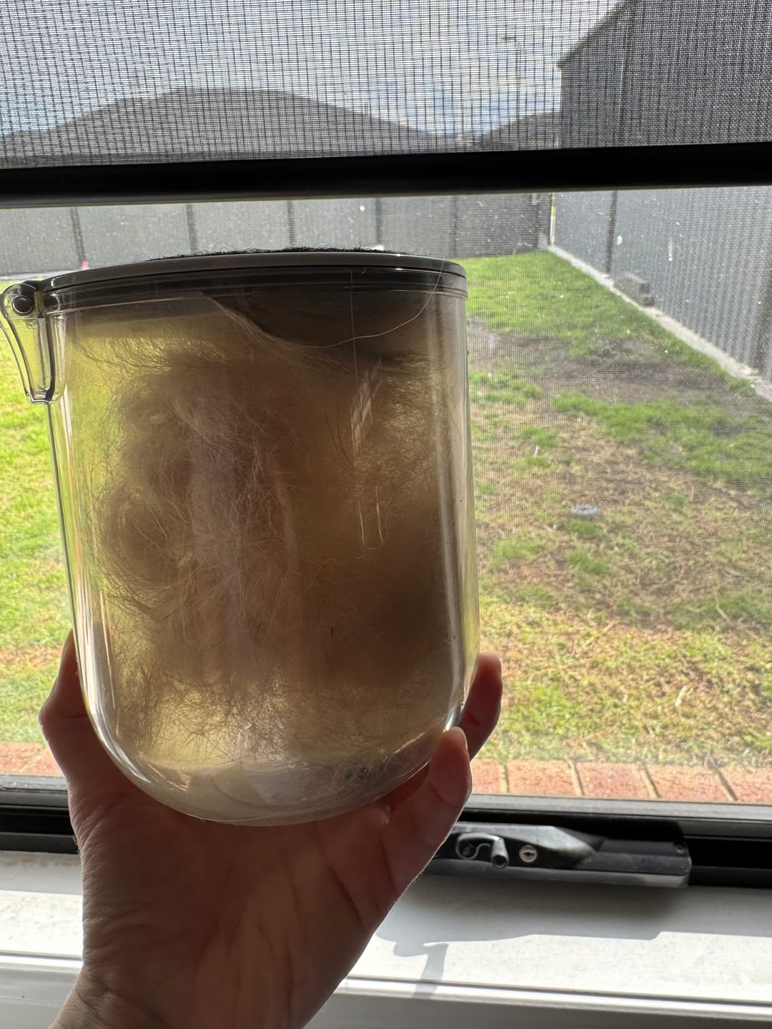 Customer photo review of GroomMate Pet Grooming Kit