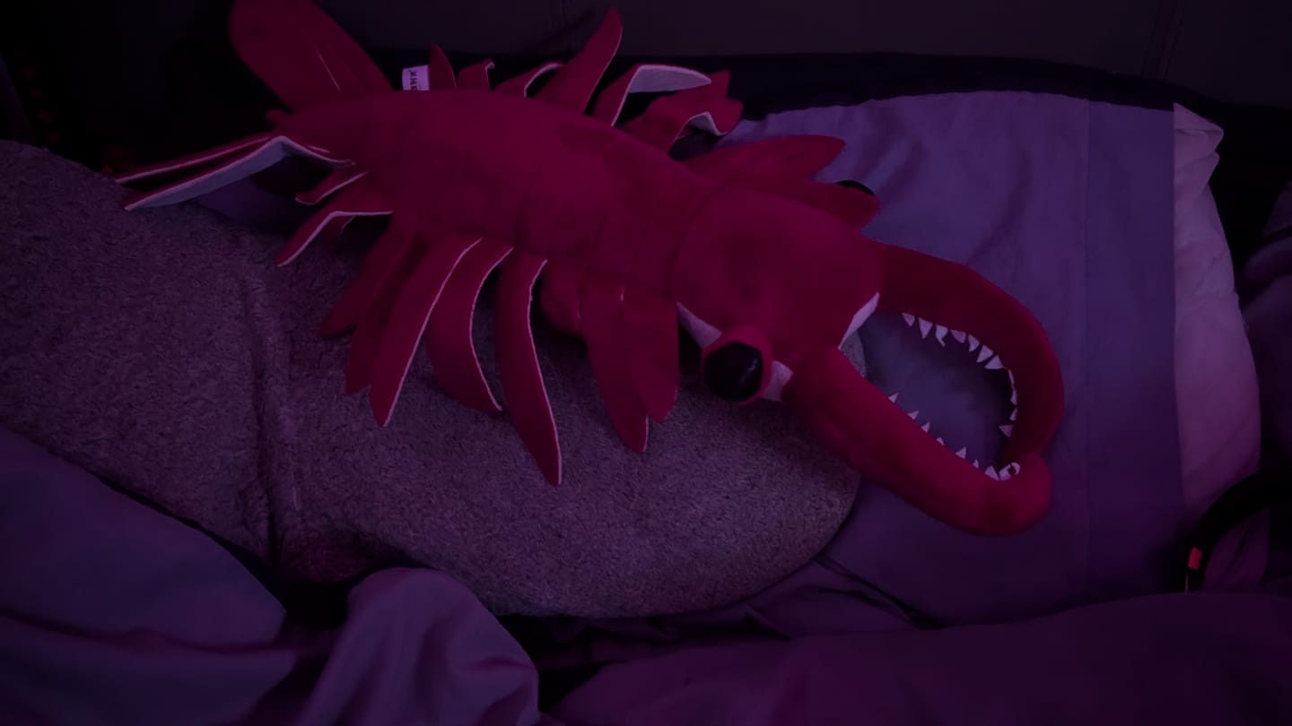 Customer photo review of Anomalocaris Arthropod Soft Stuffed Plush Toy