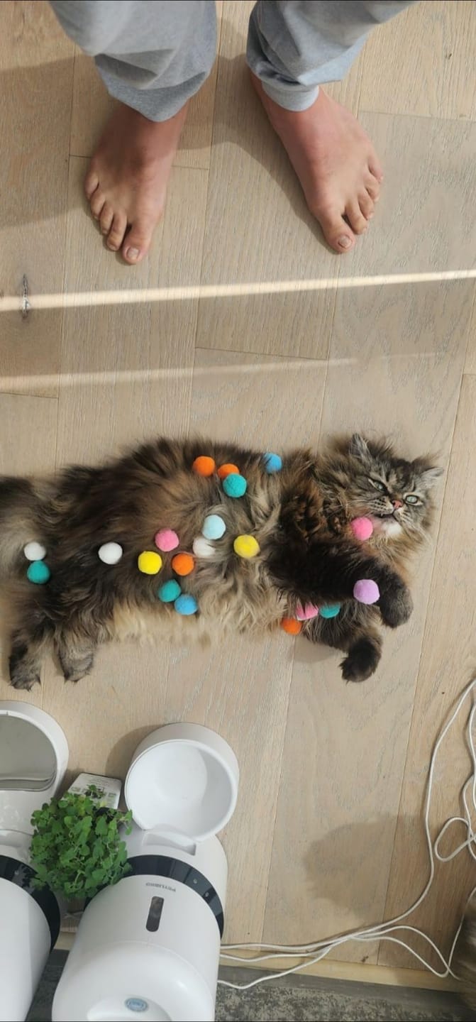 Customer photo review of Calming Puff Launcher (100 x soft fuzzy puff balls)