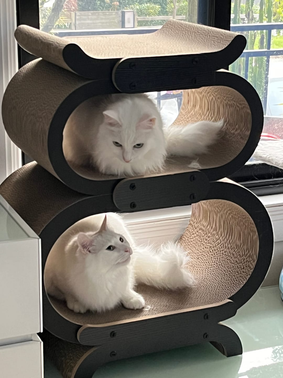 Customer photo review of Archway Stackable Cat Scratcher Lounge