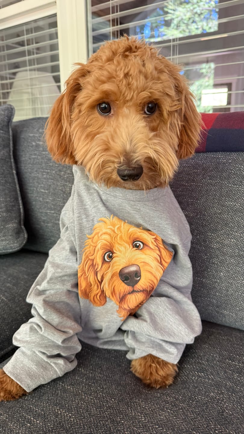 Customer photo review of Funny Peeking Golden Goldendoodle Long Sleeve T-Shirt