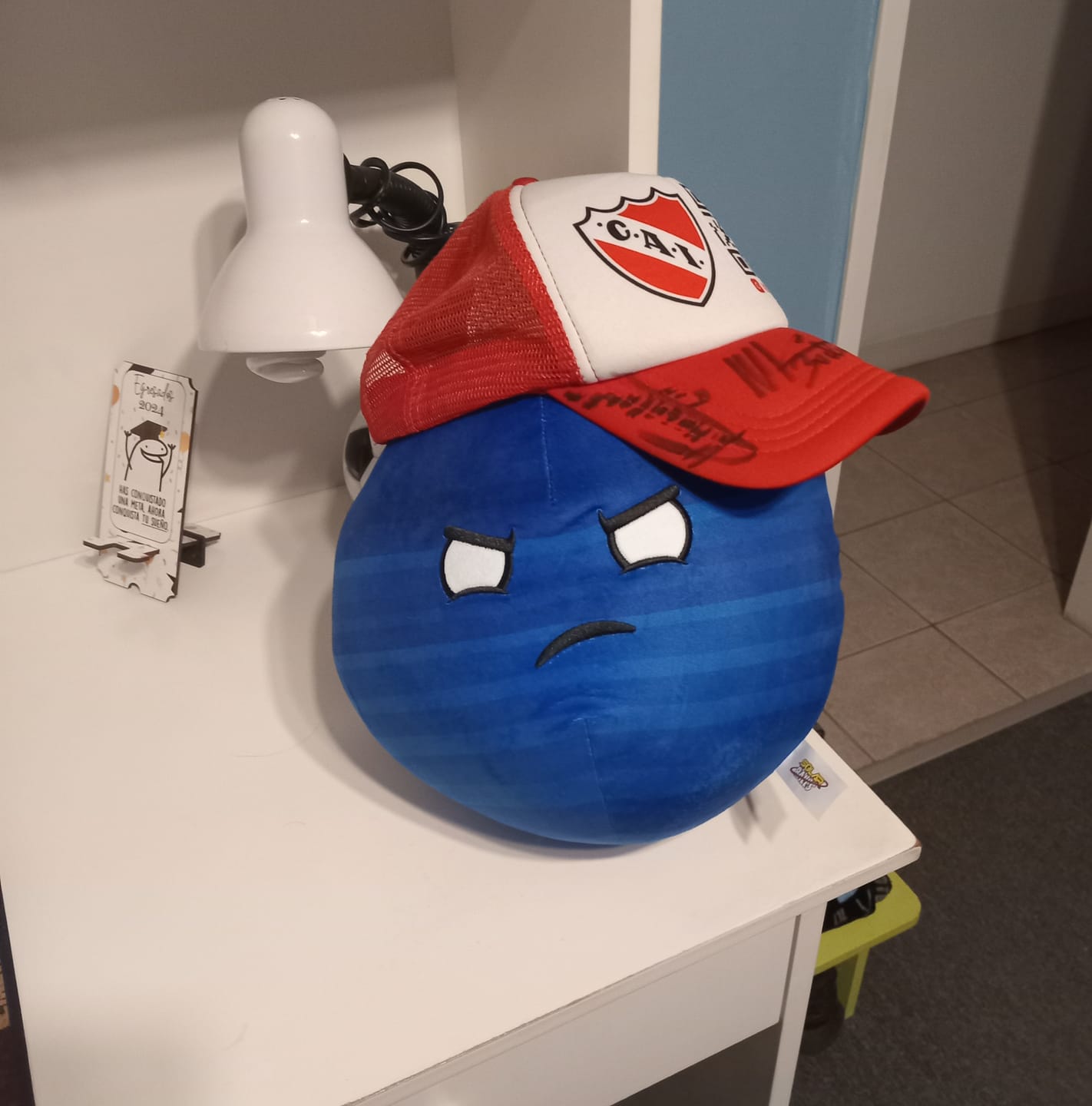 Customer photo review of The SolarBalls Planet X Plush