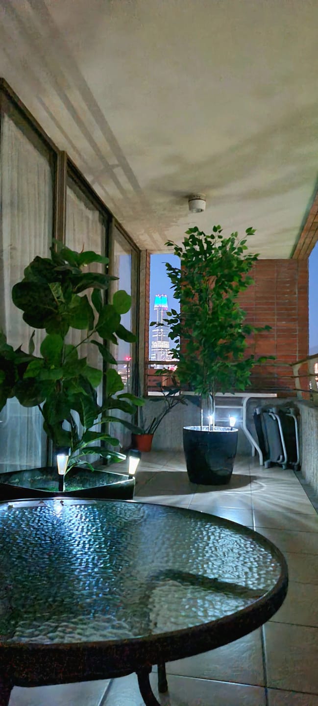 Customer photo review of Banyan Ficus Tree 70in