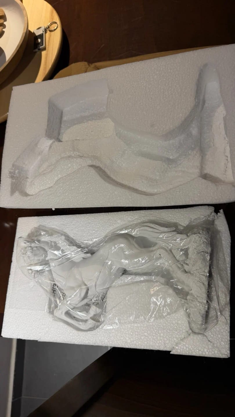 Customer photo review of Victory Horse Resin Statue