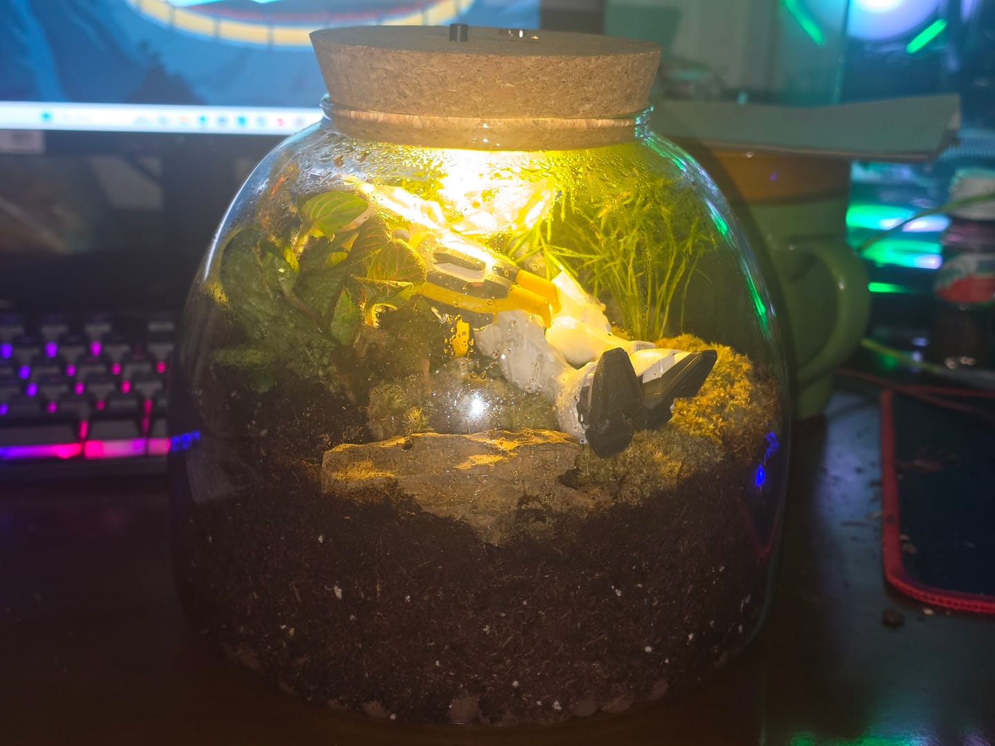 Customer photo review of Light Up Terrarium Kit