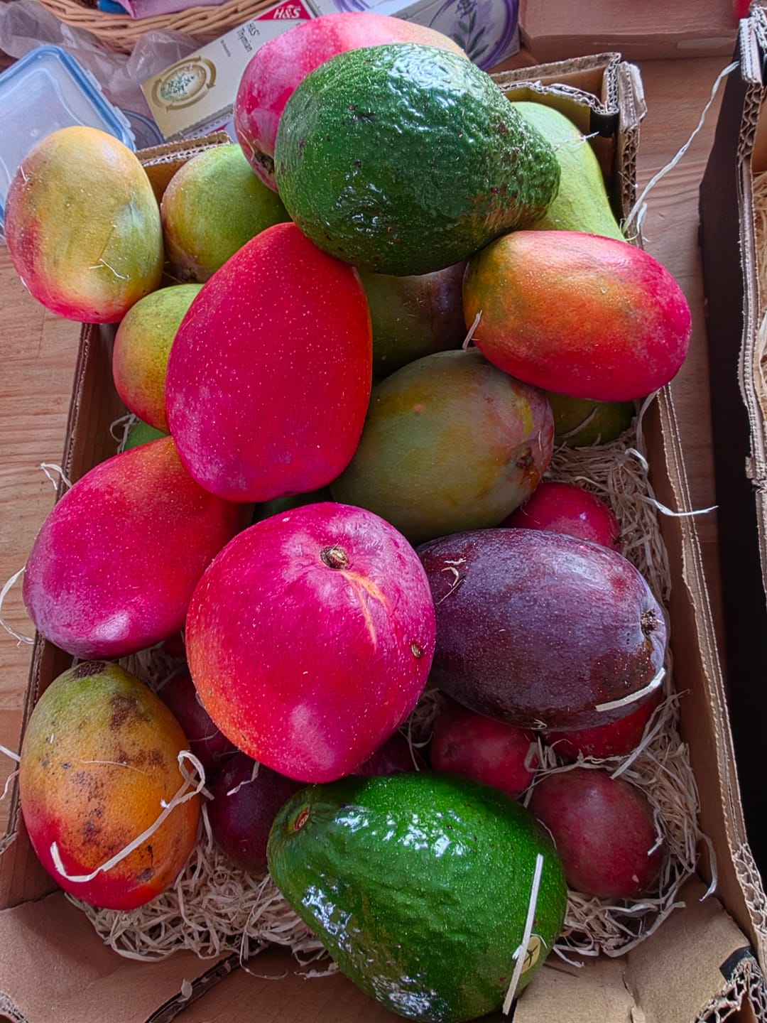 Customer photo review of Mango, Avocado & Passion Box