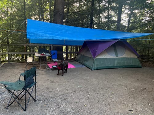 Customer photo review of Hydrava Camping Tensioner