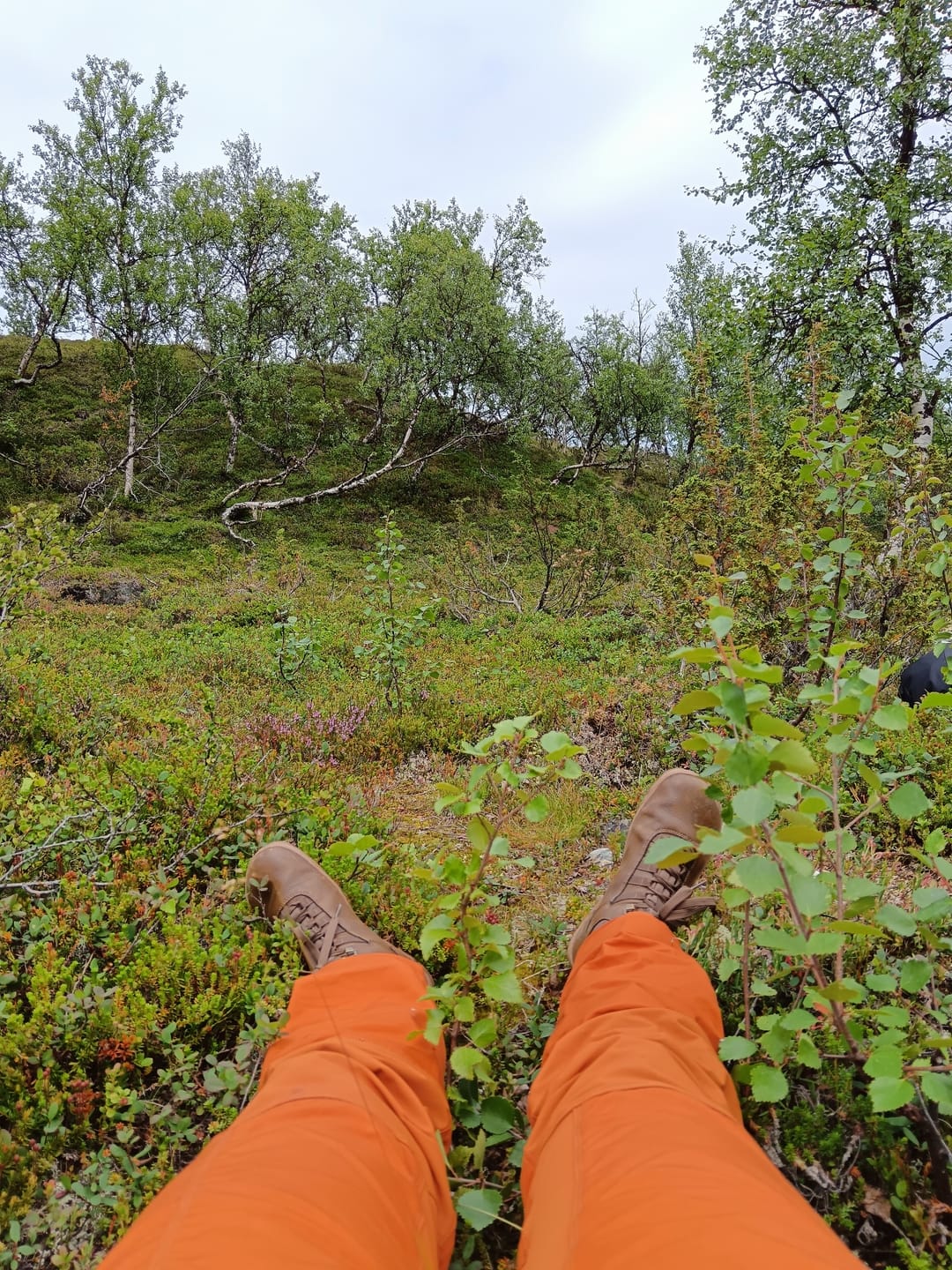 Customer photo review of Vaistoa Uoma 2 | Barefoot Trekking Boots