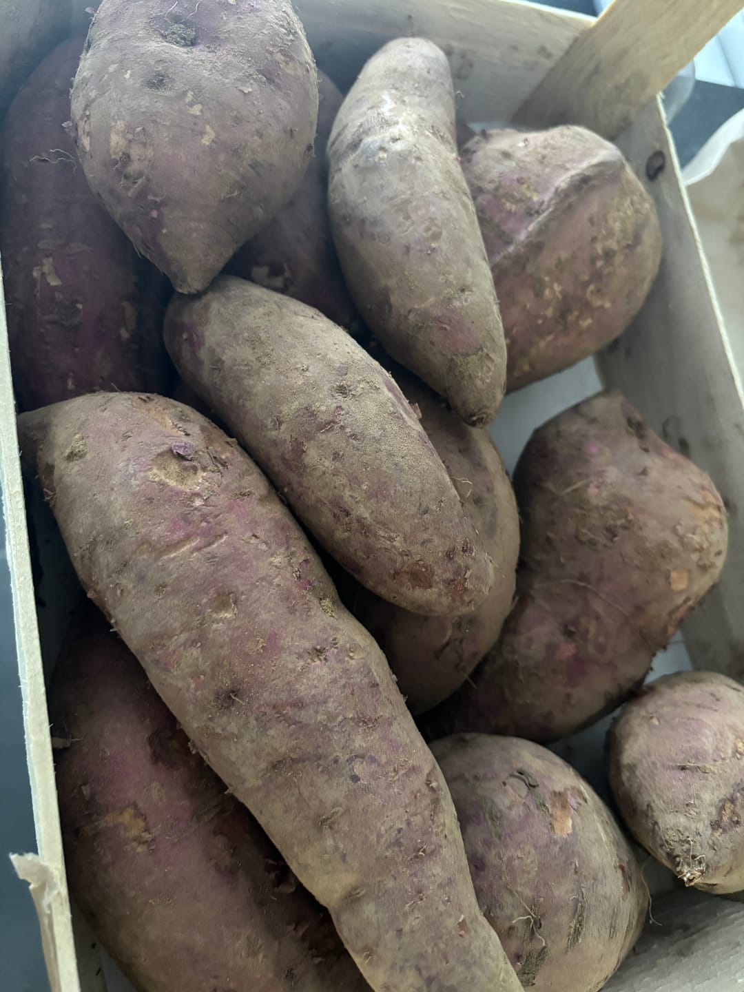 Customer photo review of Süsskartoffel violett "Okinawa" Bio & Demeter