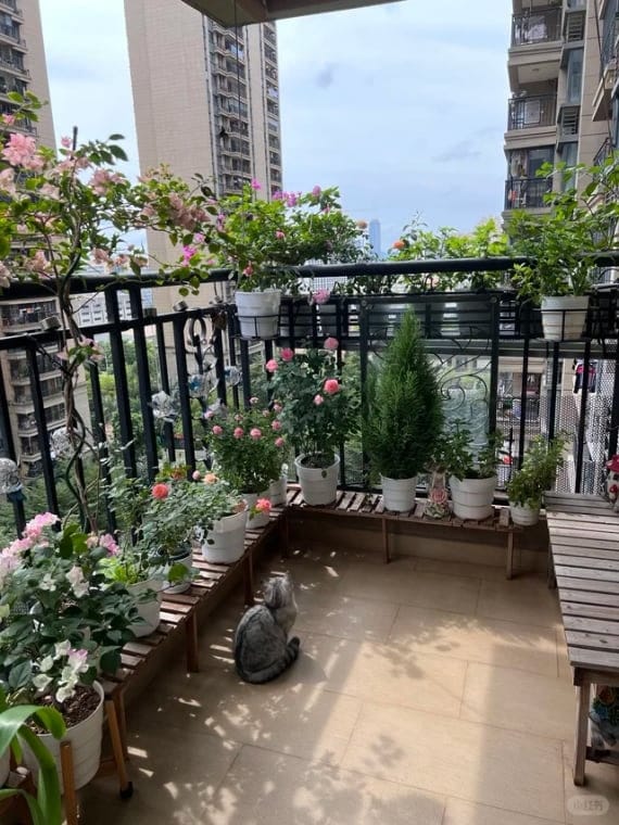 Customer photo review of ✨Labor Day Pre-Sale 45% OFF🌱Eco-Friendly Plantable ”Timeless“ Seed Calendar 2027