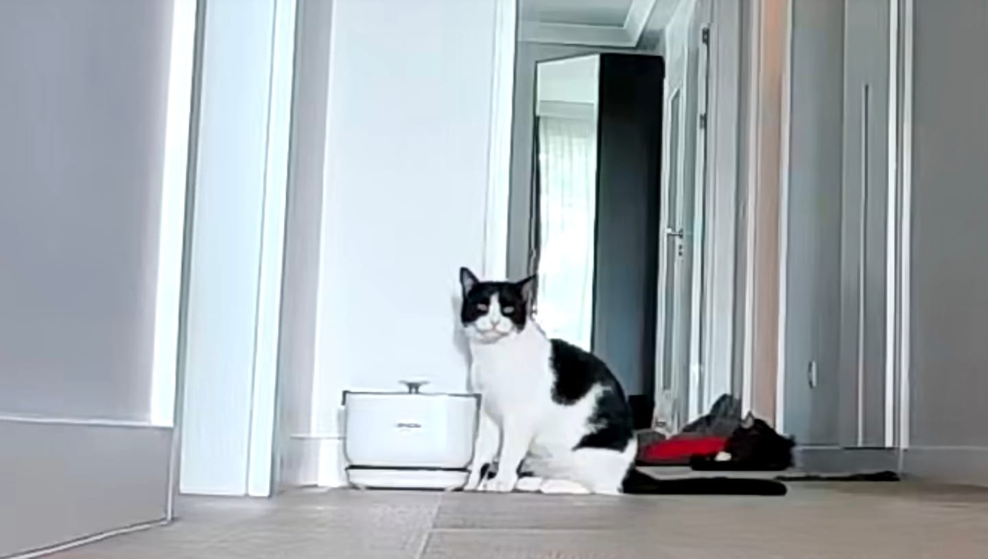 Customer photo review of Kedi Su Pınarı | Kablosuz, 5200 mAh, Çelik Su Tepsili, Sensörlü, 2.5Lt, Su Çeşmesi (X8652)