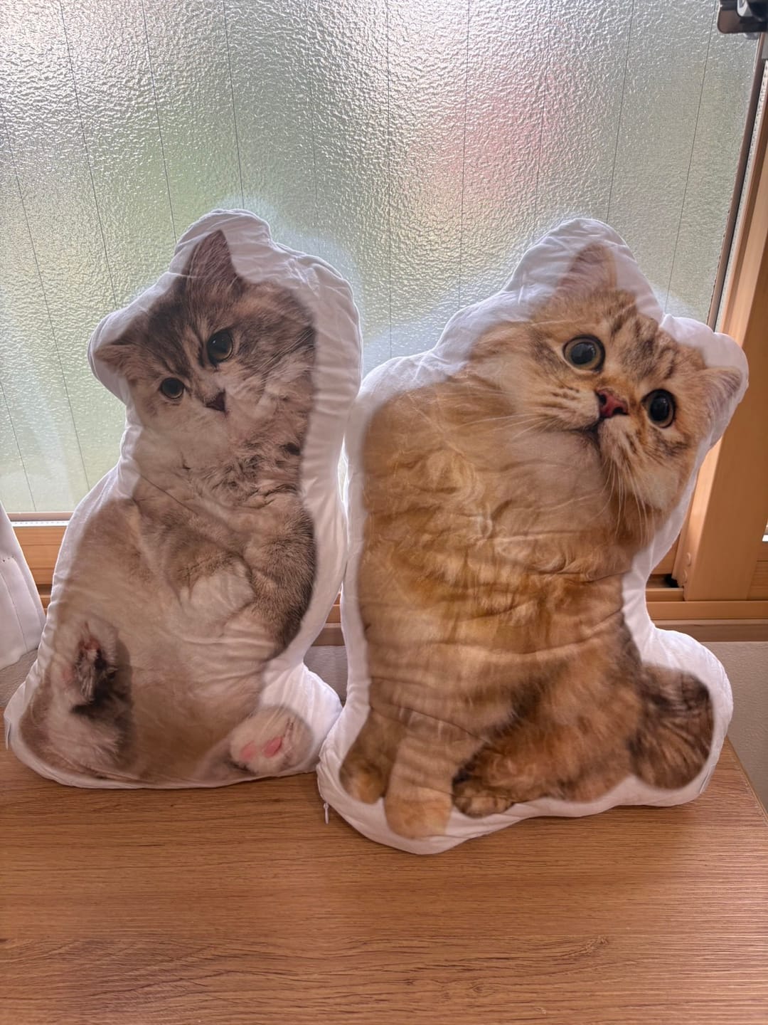 Customer photo review of 世界にひとつだけ♪好きな写真で作るオーダーメイドクッション（20～80cm）