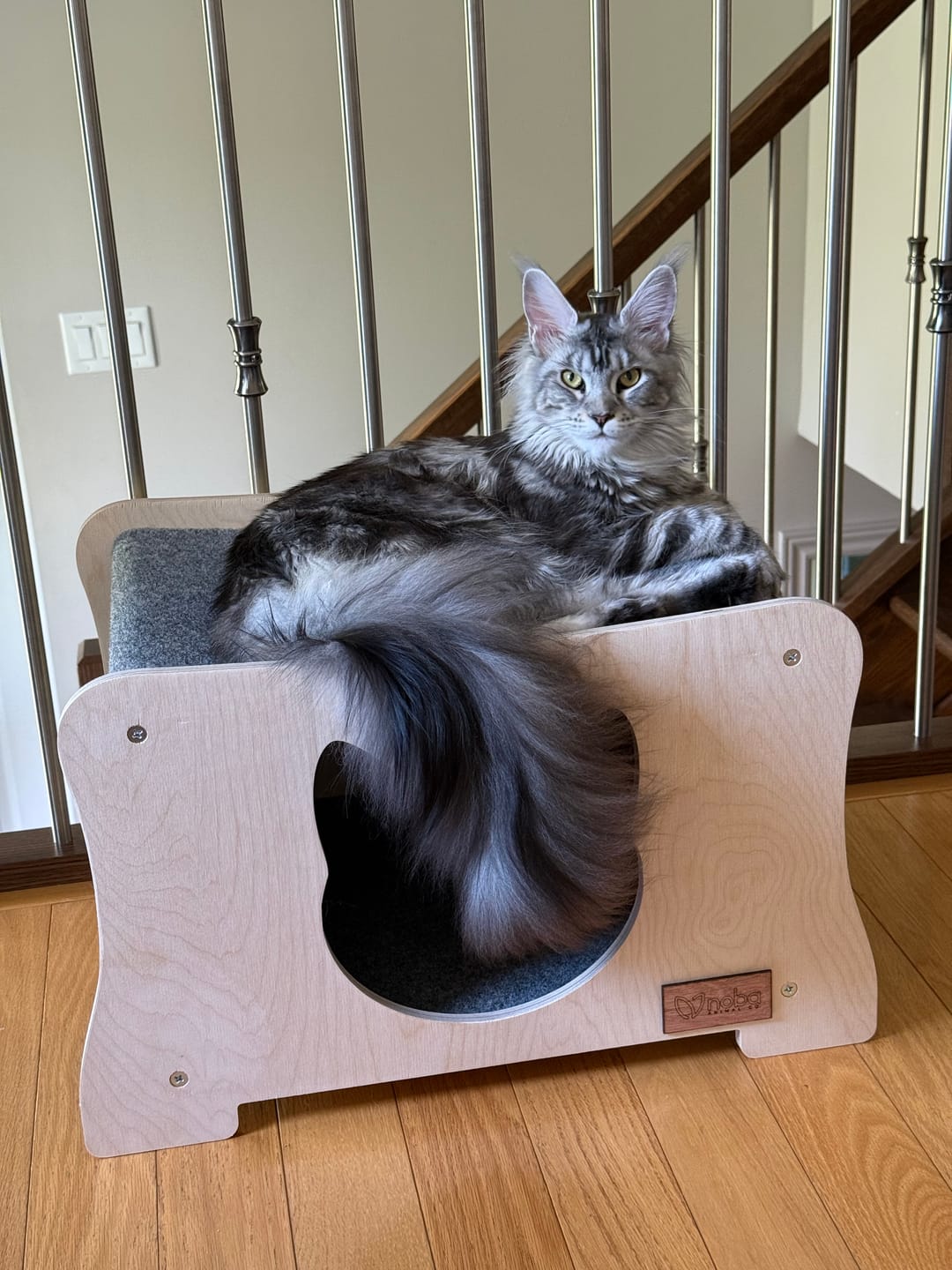 Customer photo review of The Hammock Scratchable Cat House