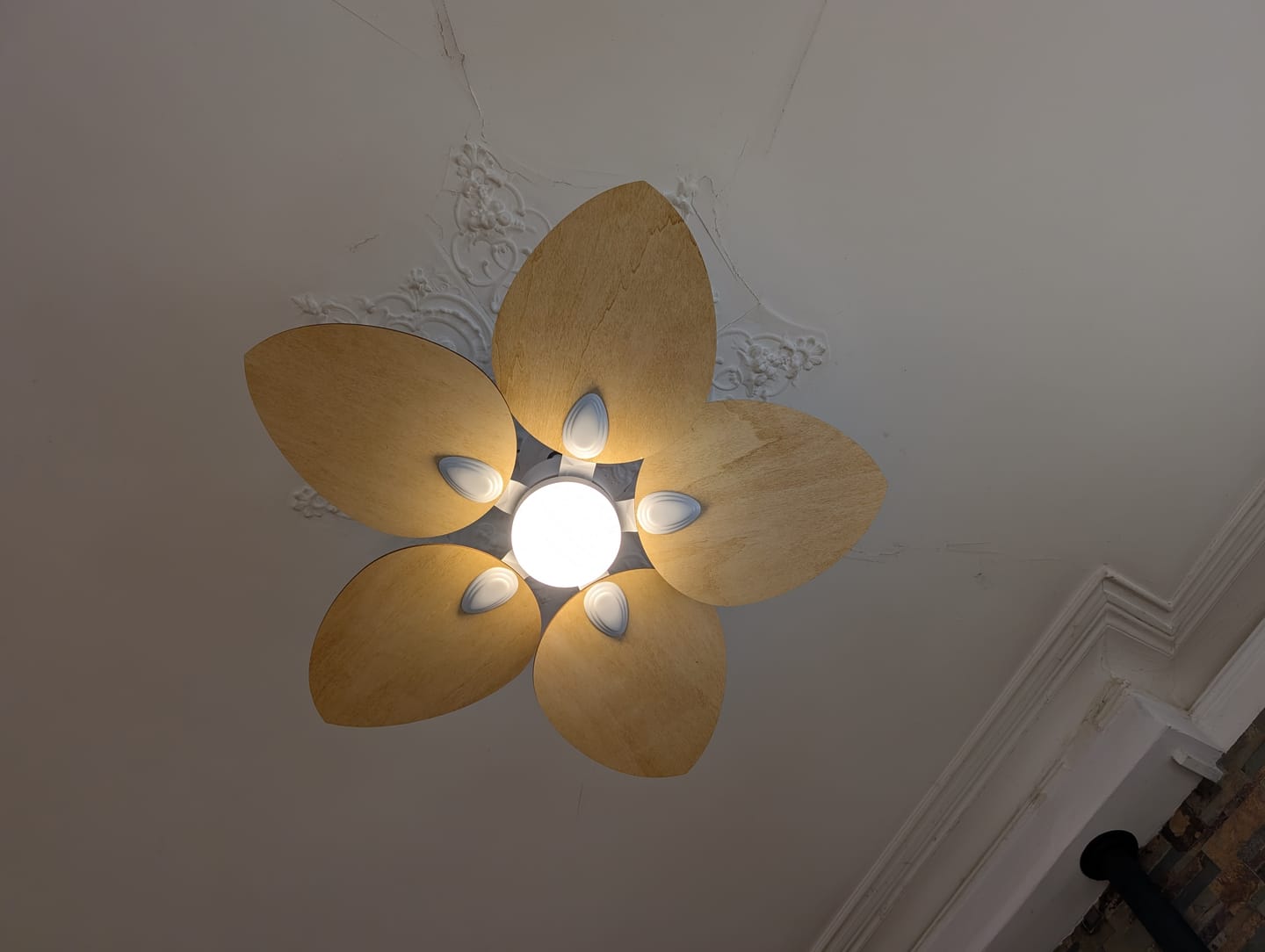 Customer photo review of Dahlia teinté Chêne | Ventilateur de plafond