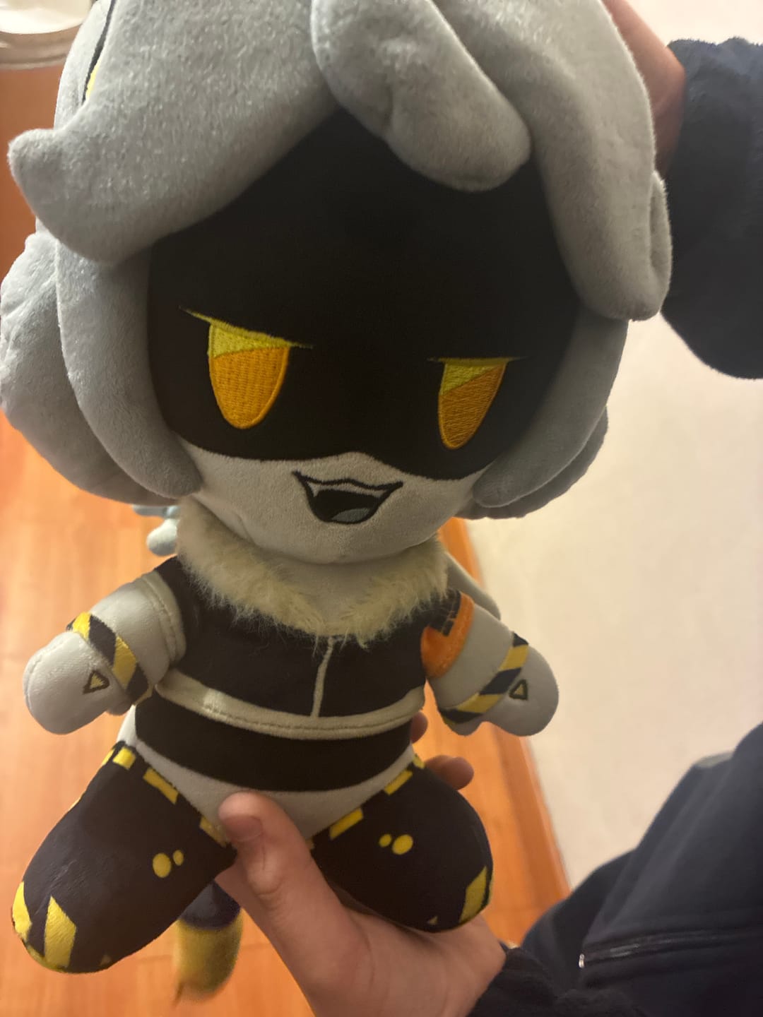 Customer photo review of V Plush