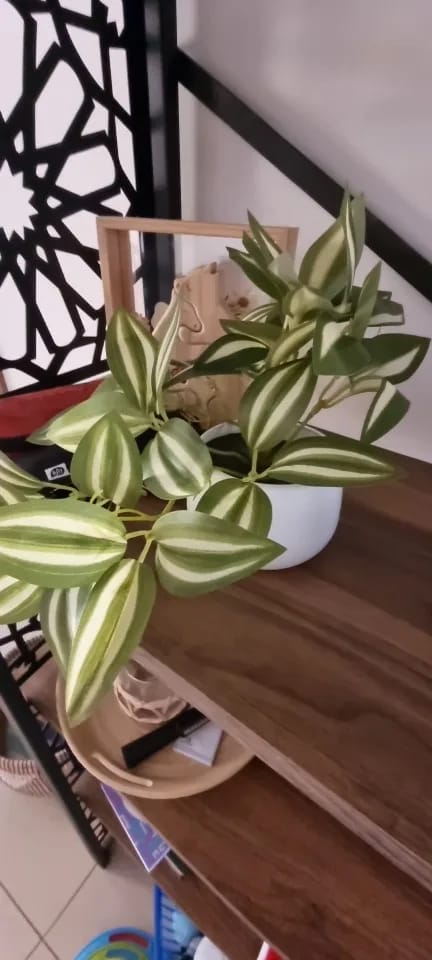 Customer photo review of Artificial Foliage Plant Pot Bonsai
