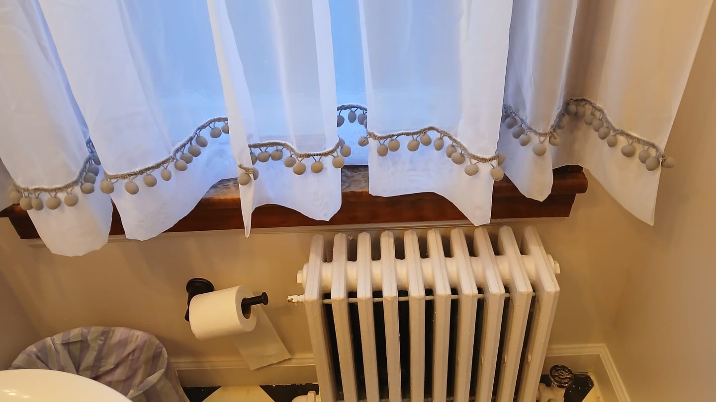 Customer photo review of Bonita Pom Pom  Fringe Trim (Sold by the Yard)