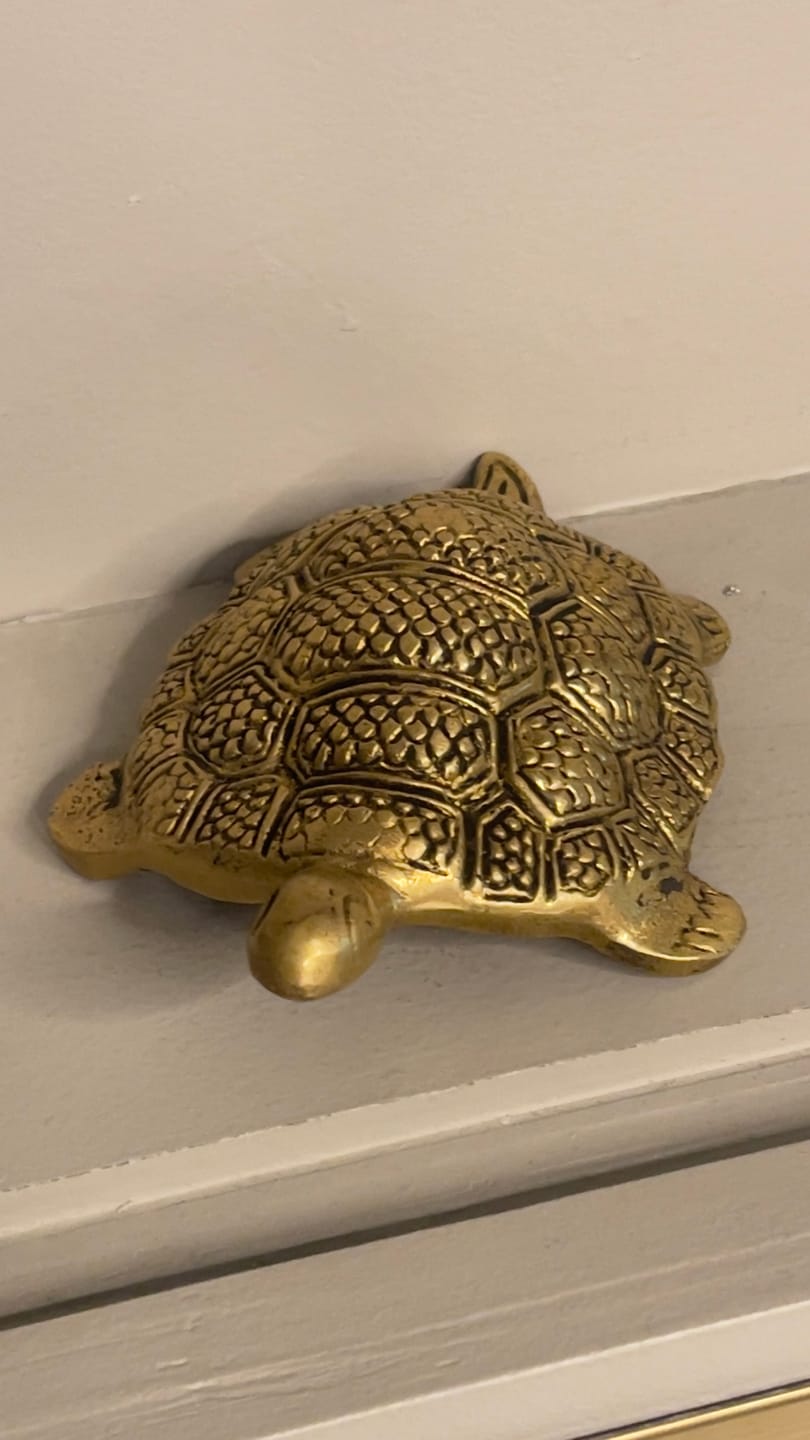Customer photo review of Brass Tortoise Idol Vastu Remedy for Wealth, Health and Longevity for Home, Office and North Direction Placement | 10 cm x 6.5 cm | 250 gm