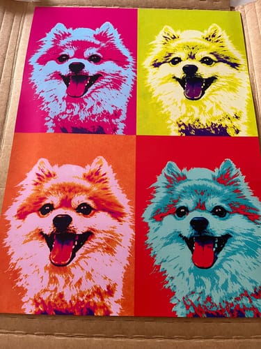 Customer photo review of Personalised Poster With Dog or Cat - Colour Squares